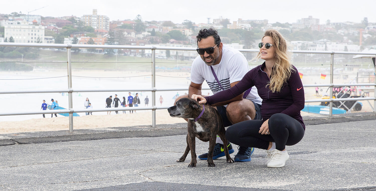 dog walks in sydney