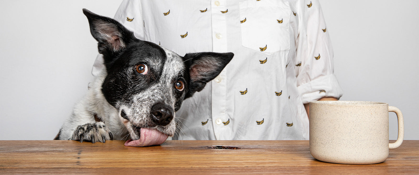 Lyka Pet Food