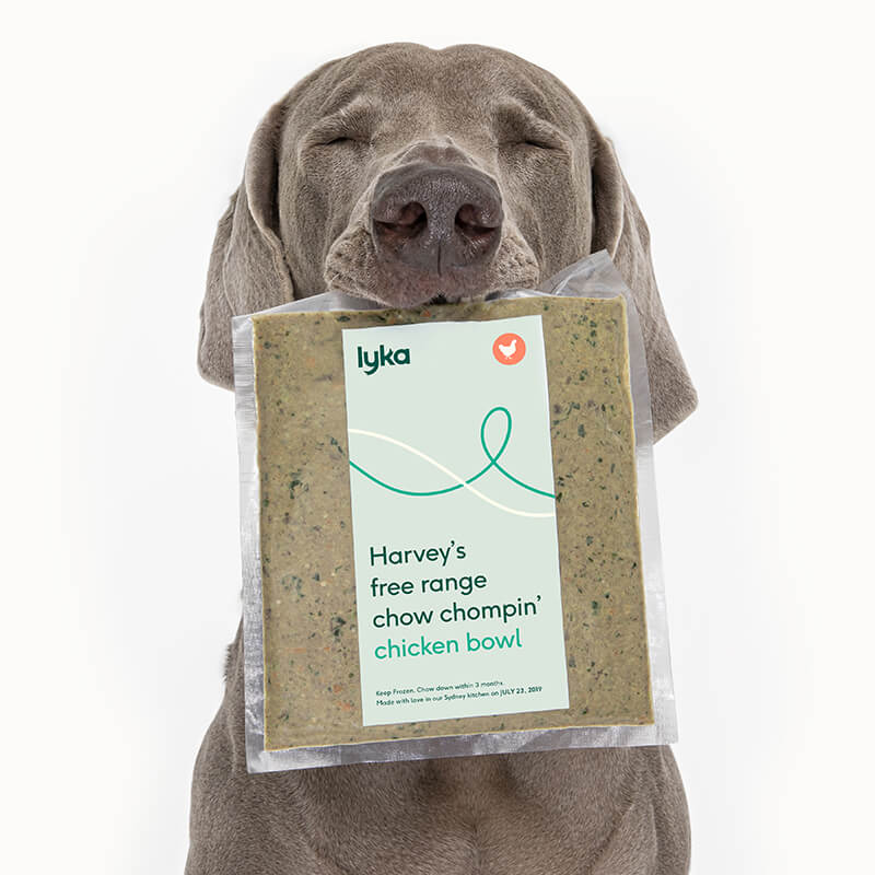 Lyka Pet Food
