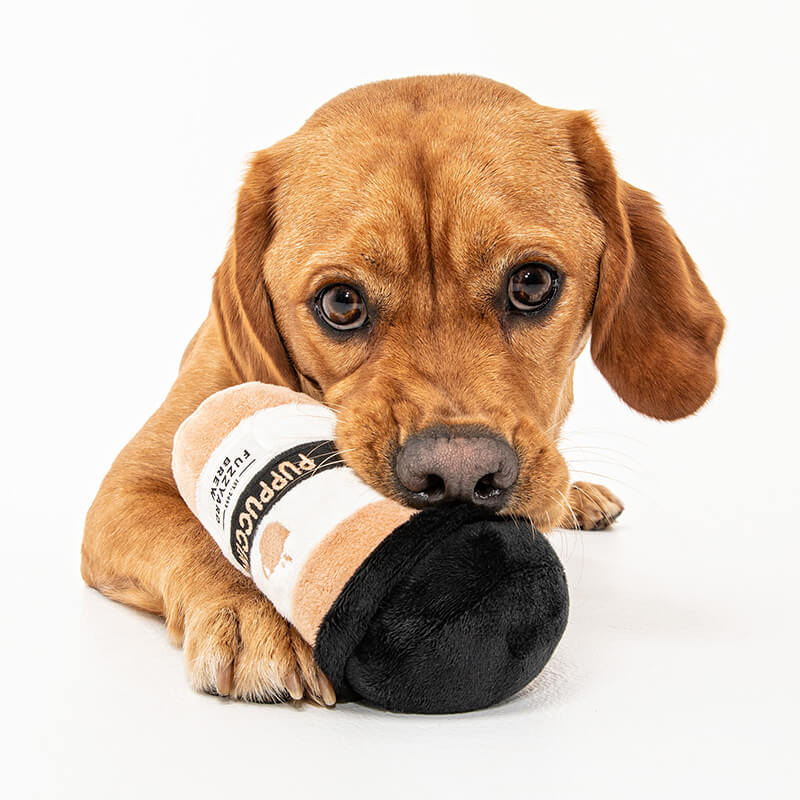Lyka Pet Food