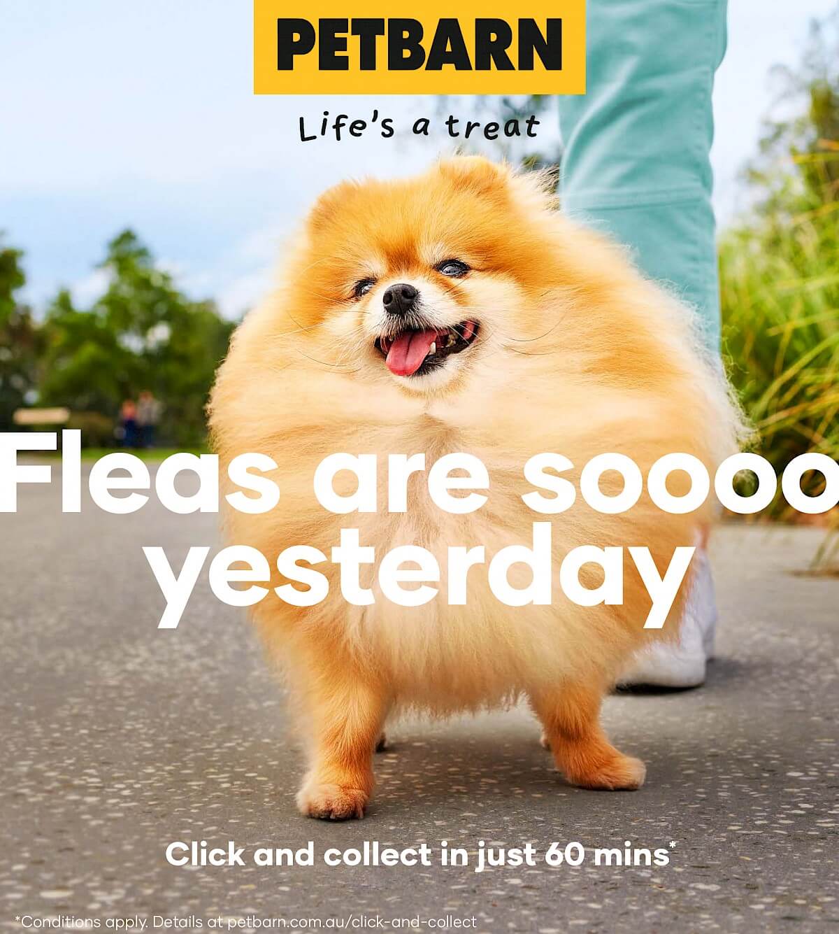 Pet Barn | Lifes a Treat Campaign
