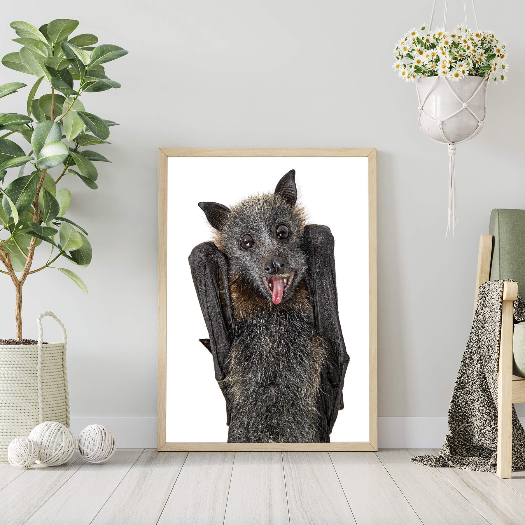 Calypso the Flying Fox - Main Image