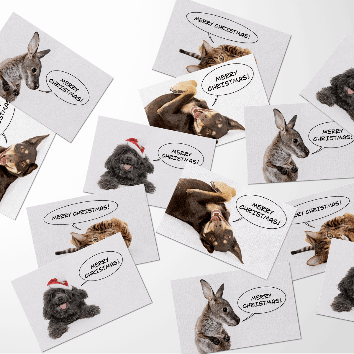 Christmas Cards | 10 Pack