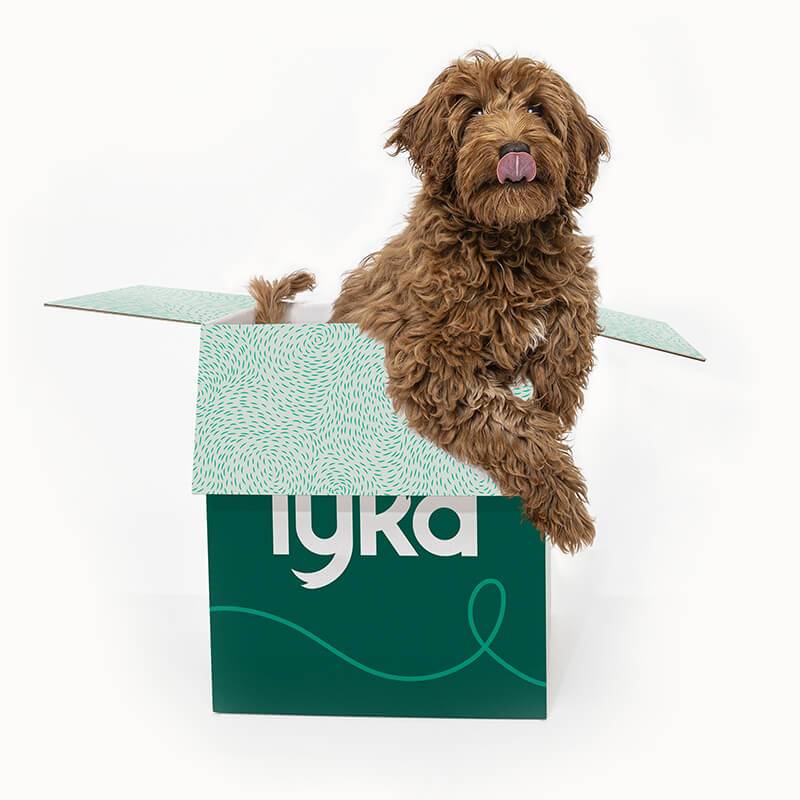 Lyka Pet Food