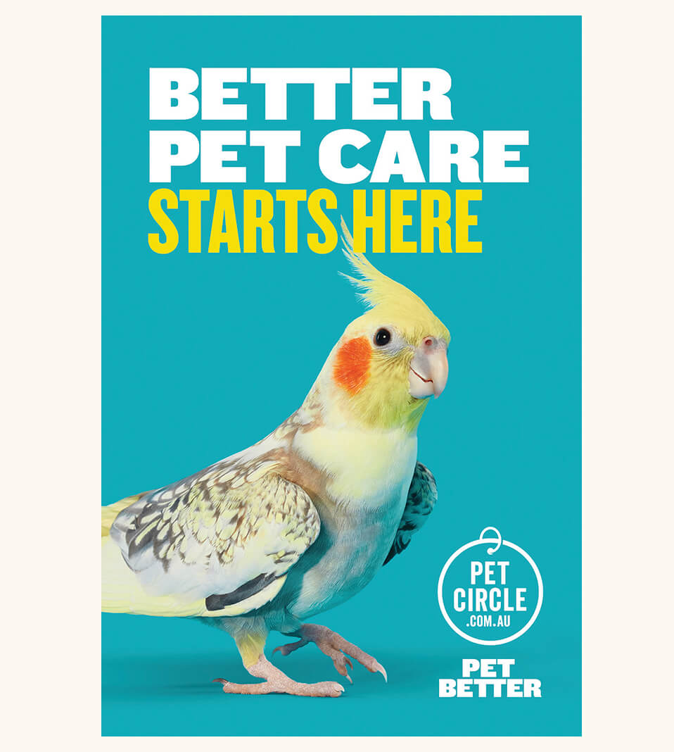 Pet Circle Pet Better Campaign