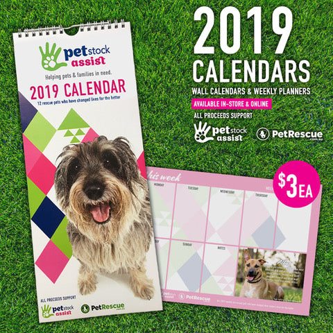 Mitzi the Dog for the Pet Stock Rescue Calender