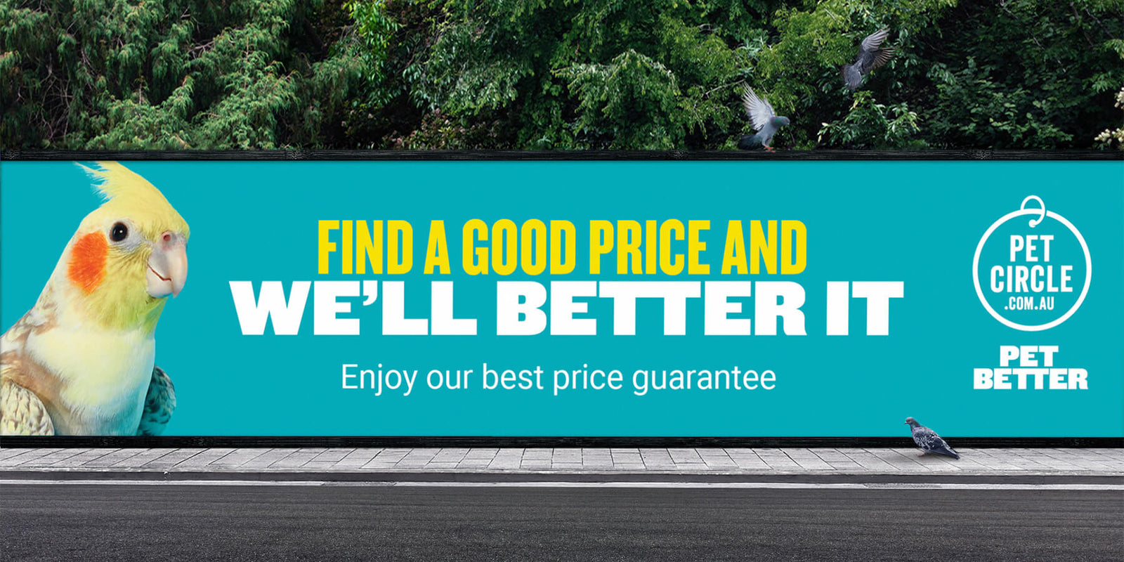 Pet Circle Pet Better Campaign