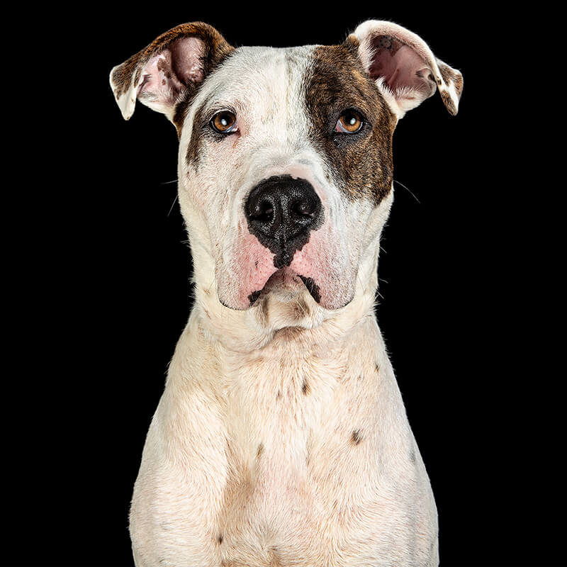 Dorothy Lost but Found