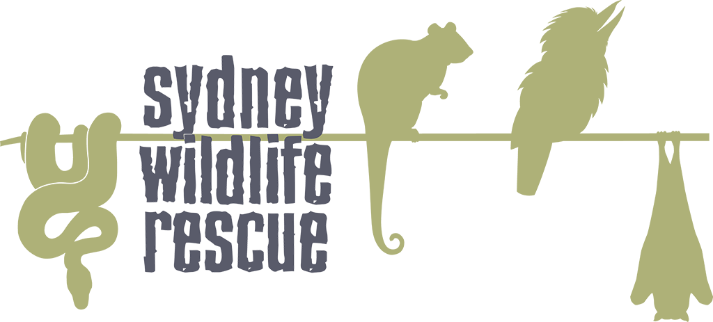 Sydney Wildlife Rescue