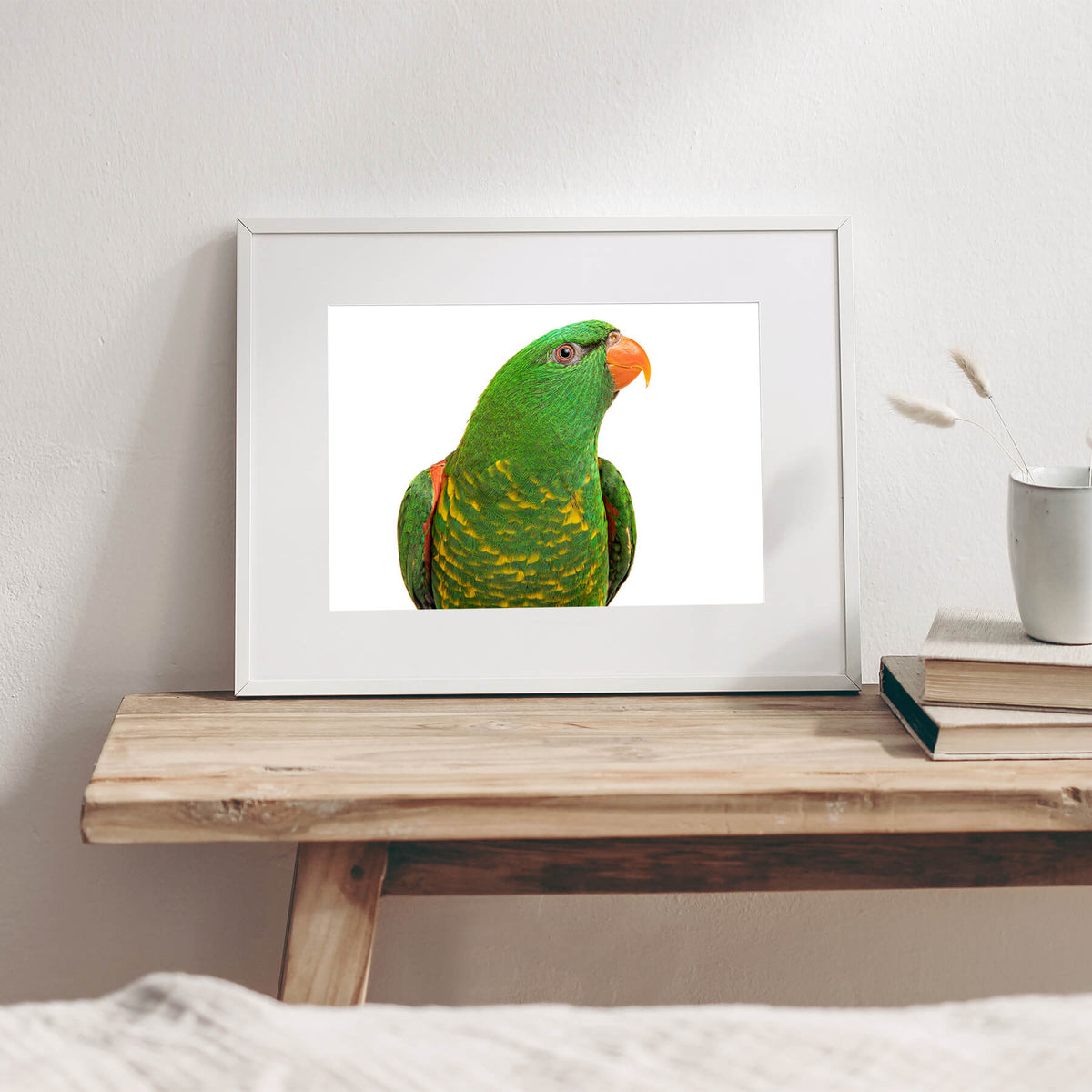Gary, the Scaly-breasted Lorikeet
